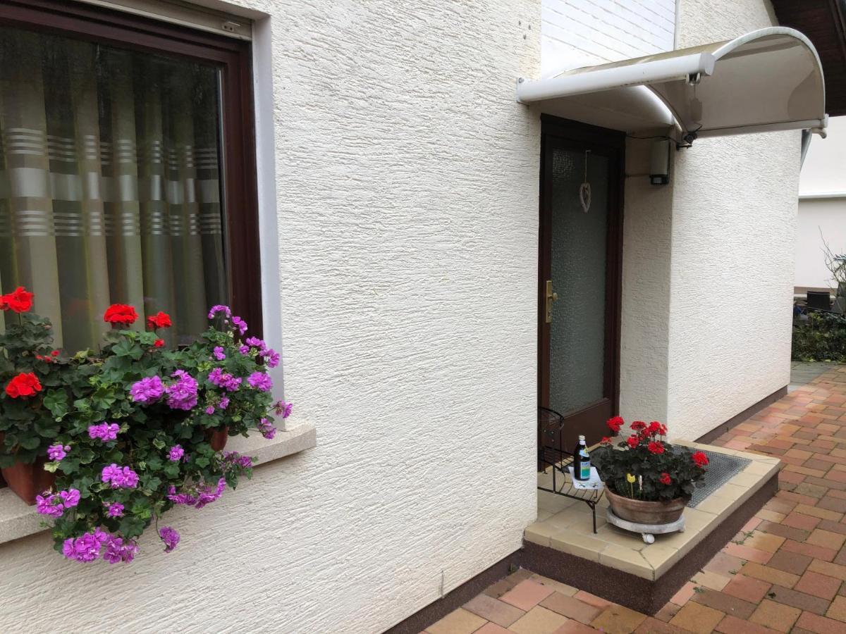 Ferienwohnung Heidelberg Ze-2020-7-Wz Exterior foto